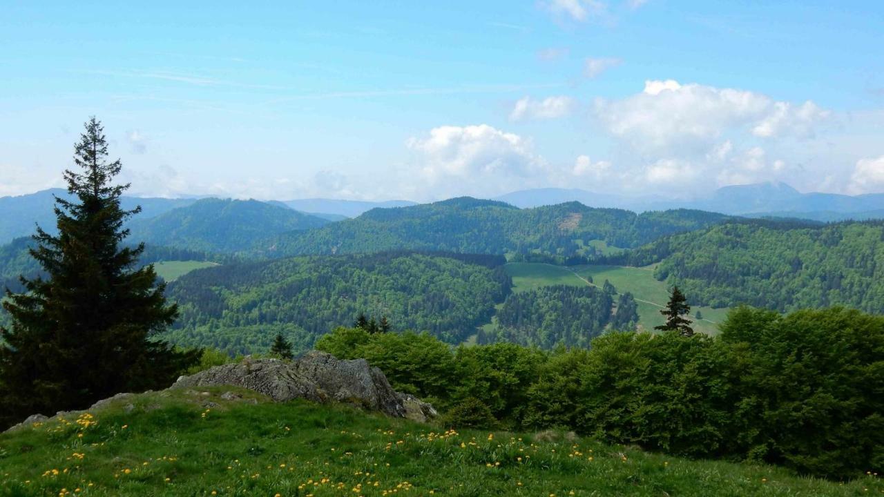 Weitblick "Entspannen - Wohlfuehlen - Aktiv Erholen" Elzach Kültér fotó