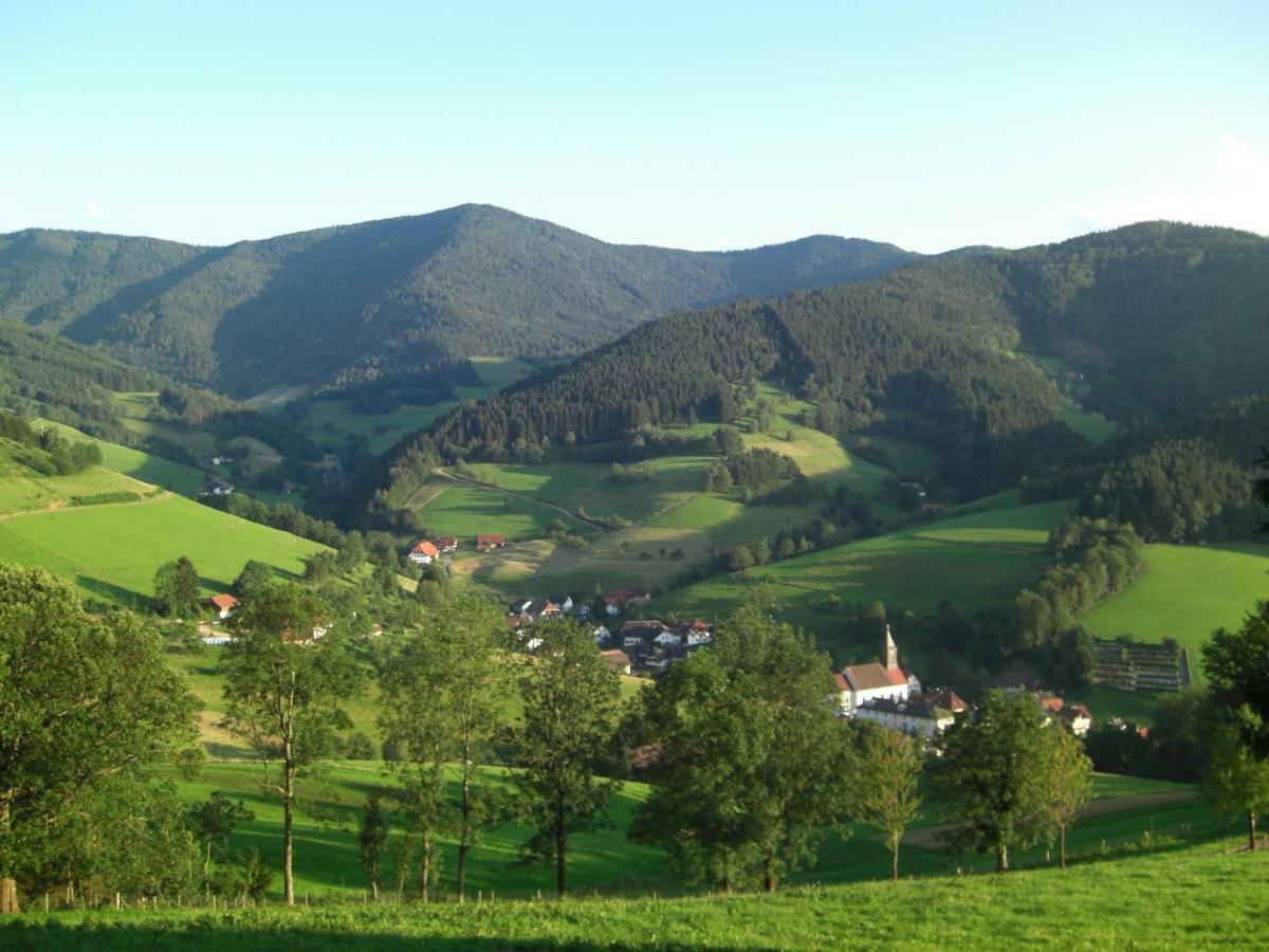 Weitblick "Entspannen - Wohlfuehlen - Aktiv Erholen" Elzach Kültér fotó